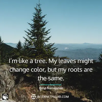 inspiring-tree-quotes