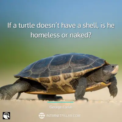 inspiring-turtle-quotes