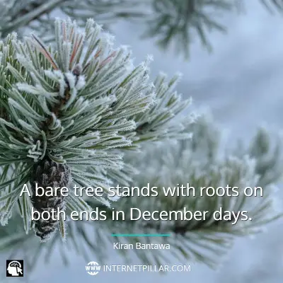 lovely-december-quotes