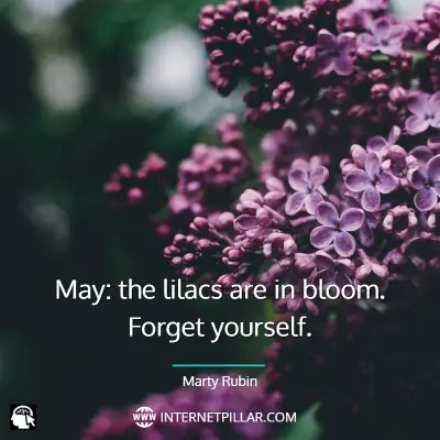 lovely-may-quotes