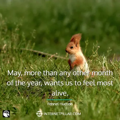 may-quotes