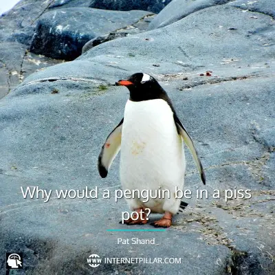 penguin-quotes