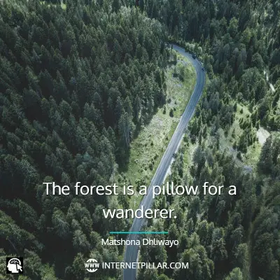 popular-forest-quotes