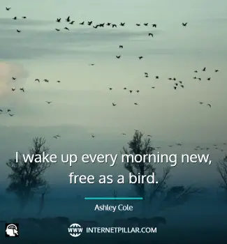 popular-inspiring-quotes-about-birds