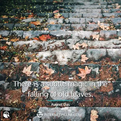 popular-leaf-quotes