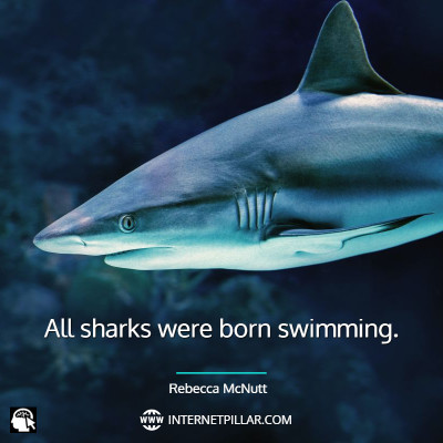 popular-shark-quotes