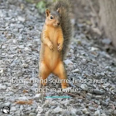popular-squirrel-quotes