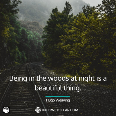 positive-forest-quotes