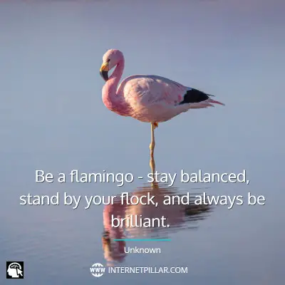 powerful-flamingo-quotes