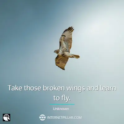 profound-flying-quotes