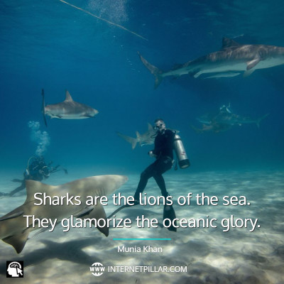 profound-shark-quotes