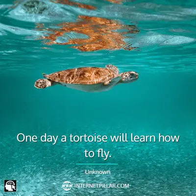 profound-turtle-quotes