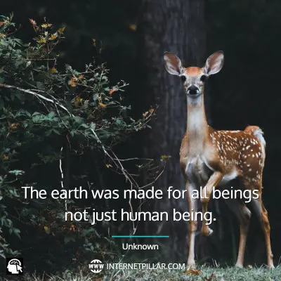 save-wildlife-quotes