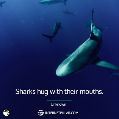 shark-quotes