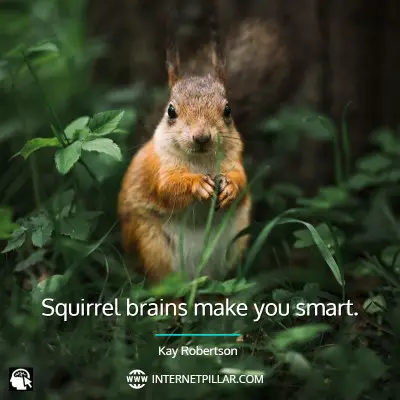 squirrel-quotes