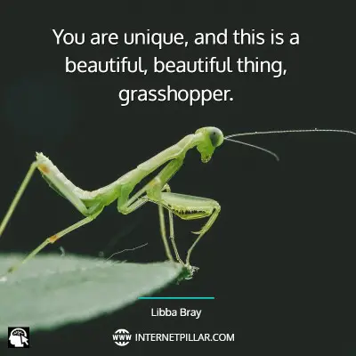 top-grasshopper-quotes