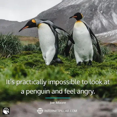 top-penguin-quotes
