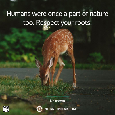 top-save-wildlife-quotes
