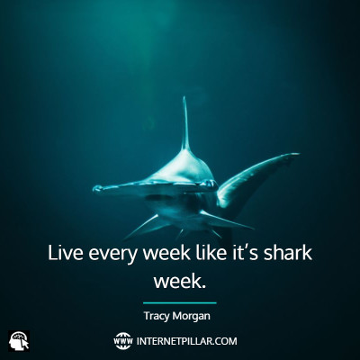top-shark-quotes
