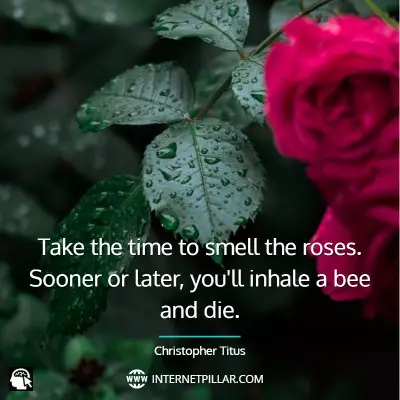 top-smell-the-roses-quotes