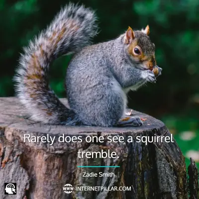 top-squirrel-quotes
