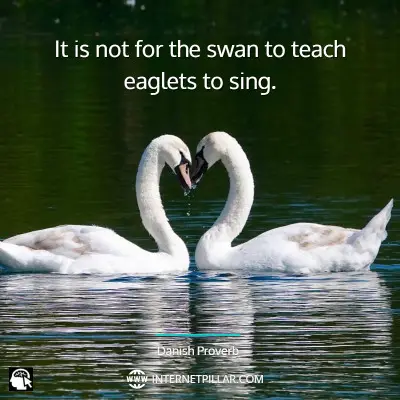 top-swan-quotes