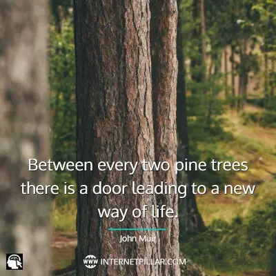 top-tree-quotes