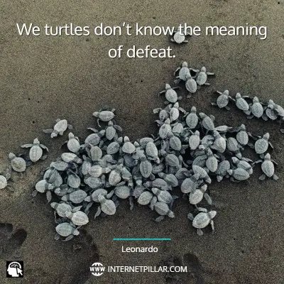 turtle-quotes