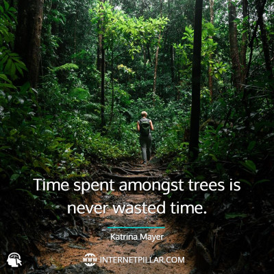 wise-forest-quotes