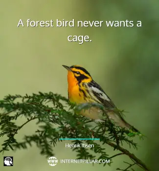 wise-inspiring-quotes-about-birds