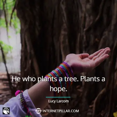 wise-tree-quotes