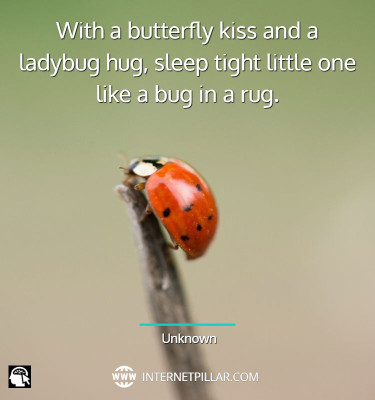 beautiful-ladybug-quotes