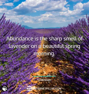 beautiful-lavender-quotes