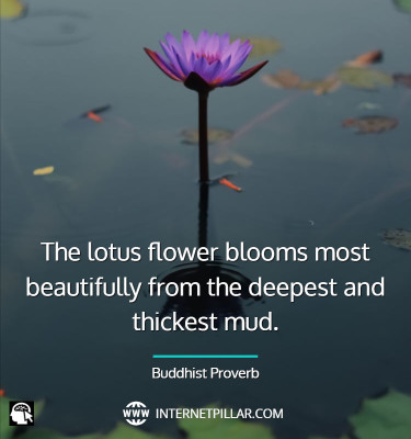 beautiful-lotus-flower-quotes