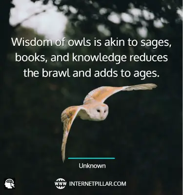 beautiful-owl-quotes