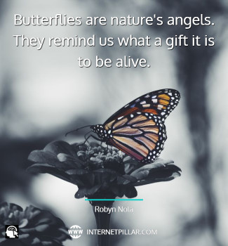 best-butterfly-effect-quotes