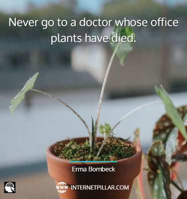 best-houseplant-quotes