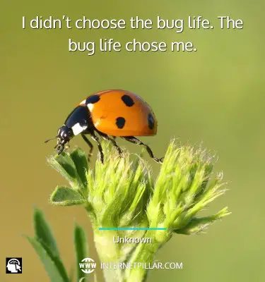best-ladybug-quotes