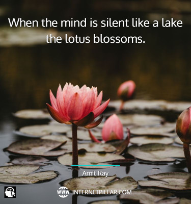 best-lotus-flower-quotes