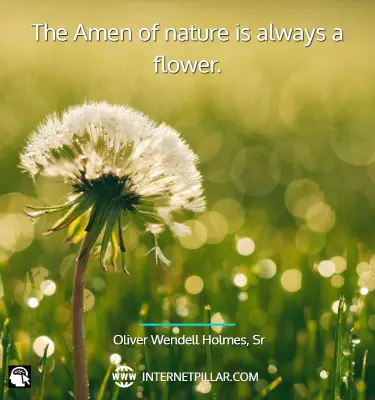 best-nature-quotes