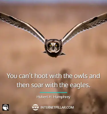 best-owl-quotes