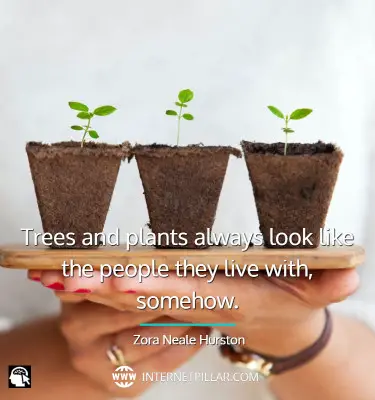 best-plant-love-quotes