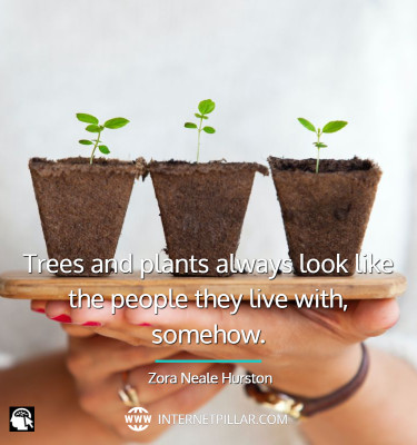 best-plant-love-quotes