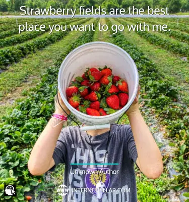 best-strawberry-quotes