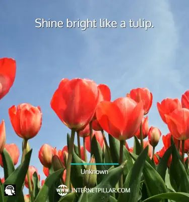 best-tulip-quotes