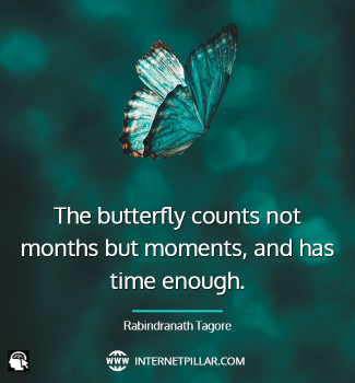 butterfly-effect-quotes