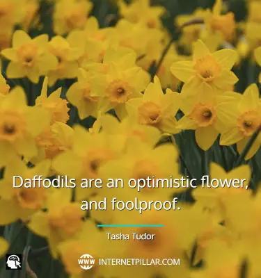 daffodil-quotes