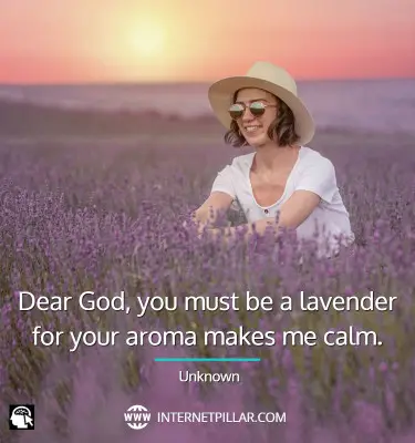 famous-lavender-quotes