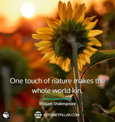 famous-nature-quotes