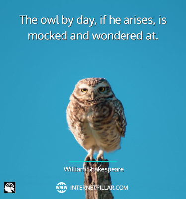 famous-owl-quotes